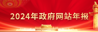 2024年政府网站年报